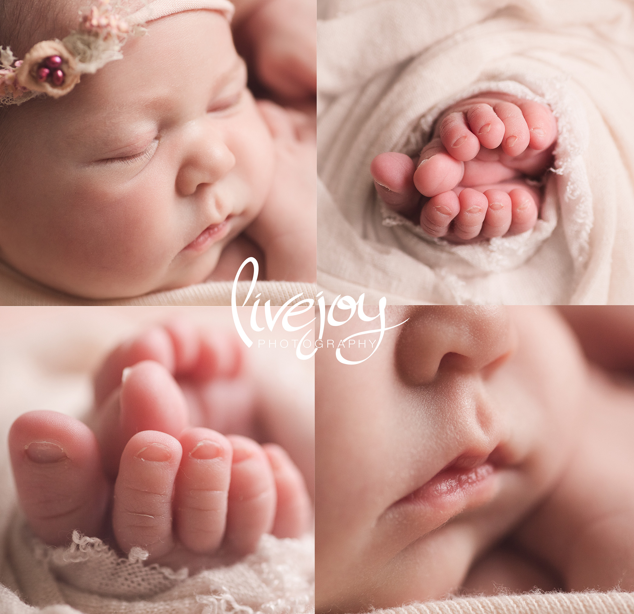 Macro Details | Newborn Photography | Oregon | LiveJoy Photography