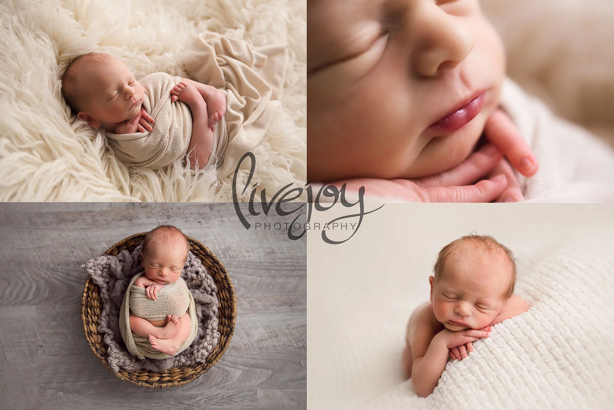 Newborn Photography | Oregon