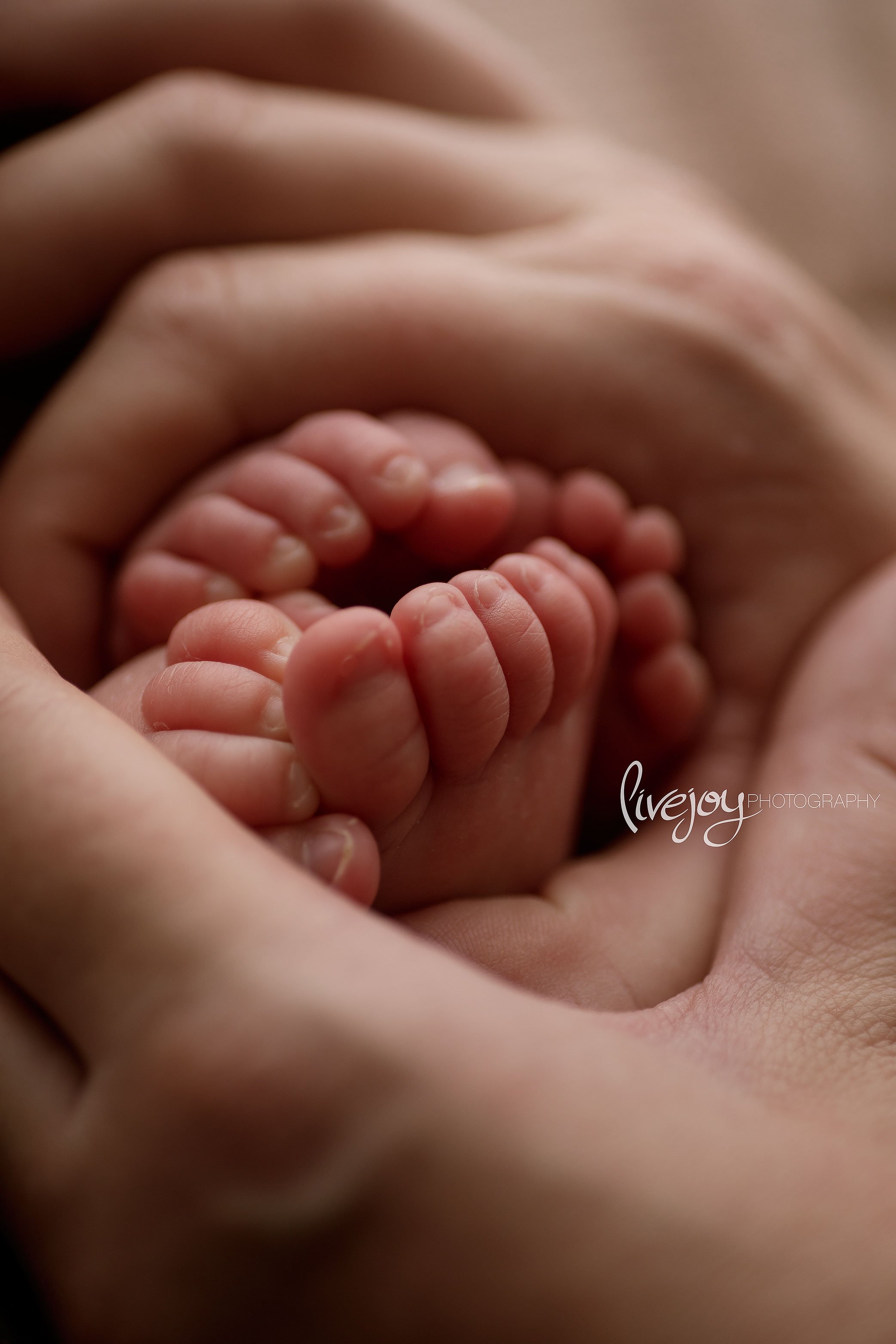 Twin Newborn Boy Photography | LiveJoy Photography | Oregon