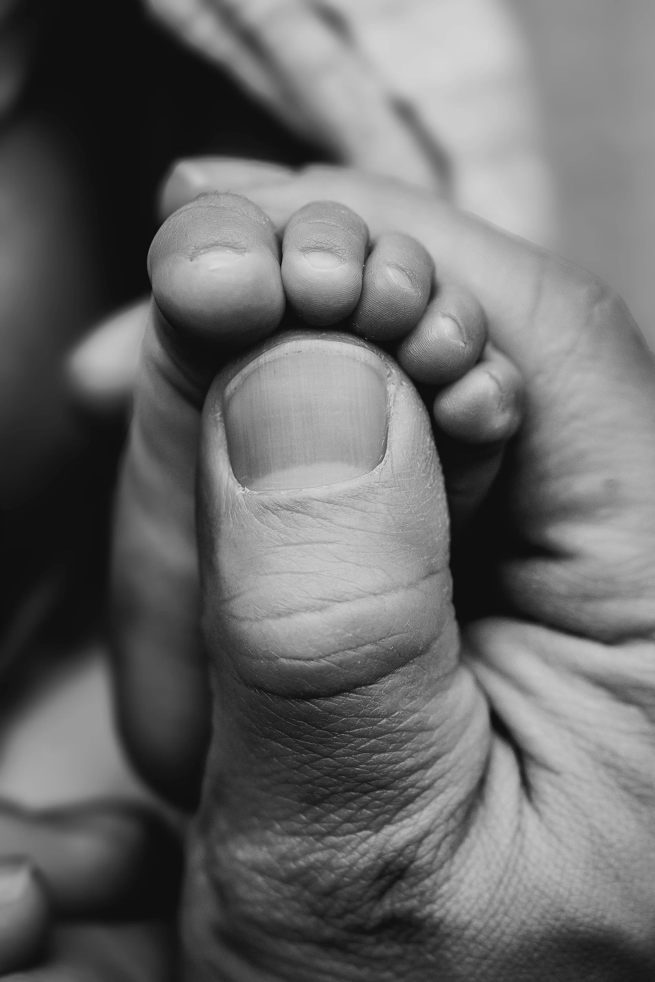 Black and white macro of baby toes held in parent hand during a baby photoshoot.