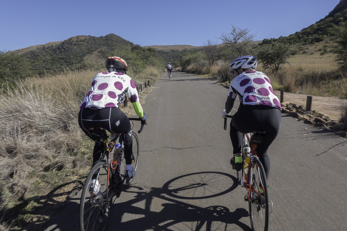 Turtles ride in Suikerbosrand - April 2014-37.jpg