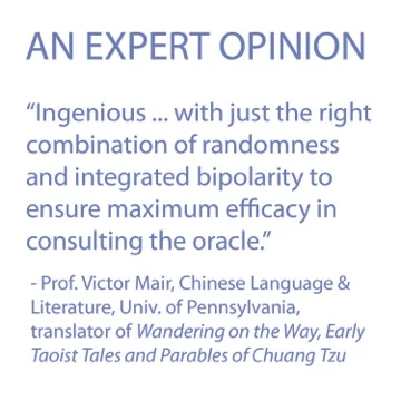 expert opinion I-ching amazon.jpeg