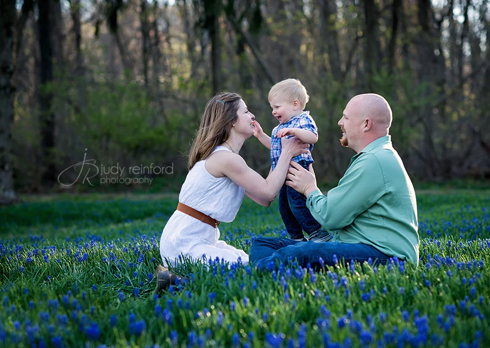 Family portraits in the bluebells.