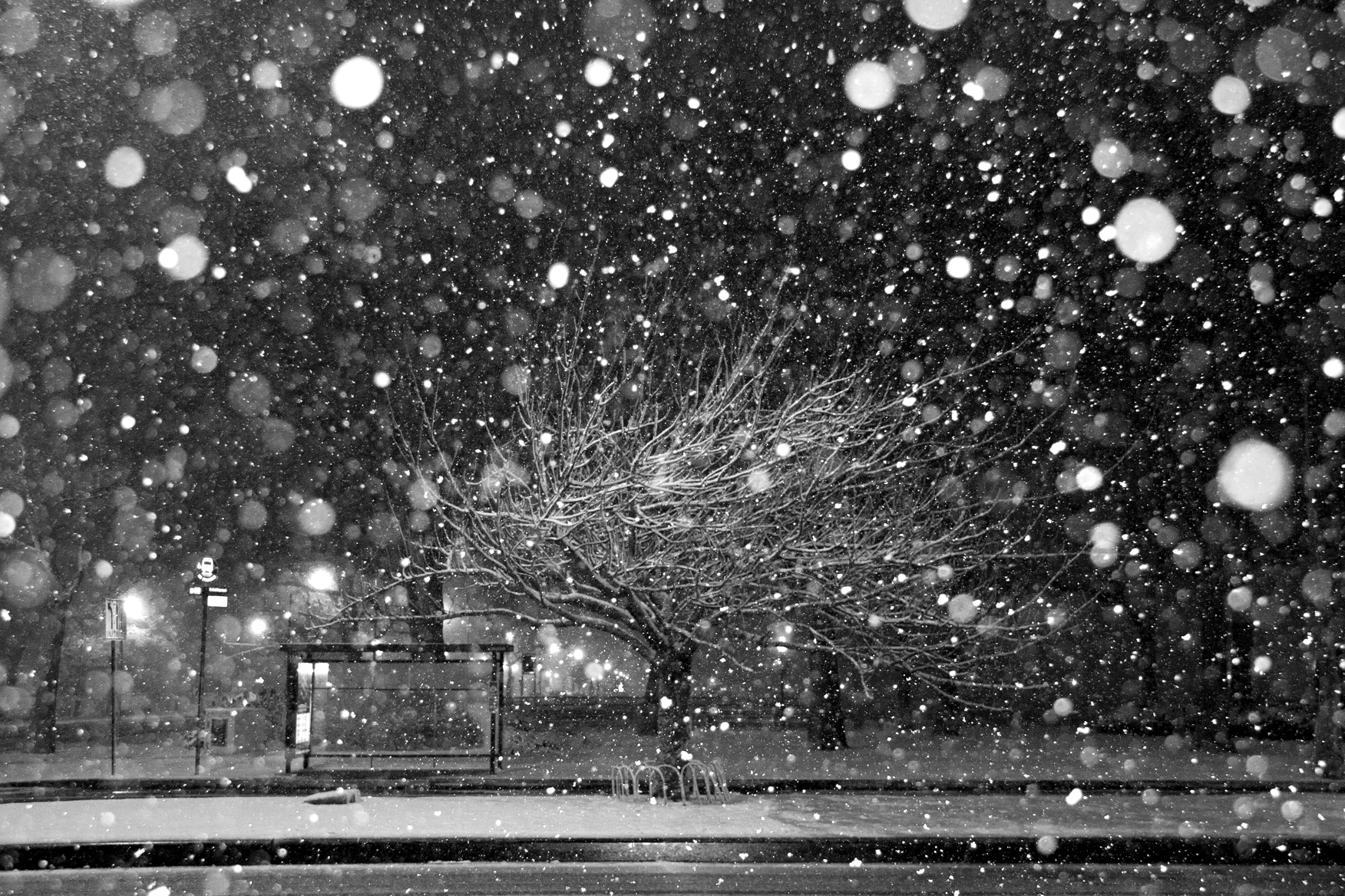 NY NOIR - A Cinematic Tour