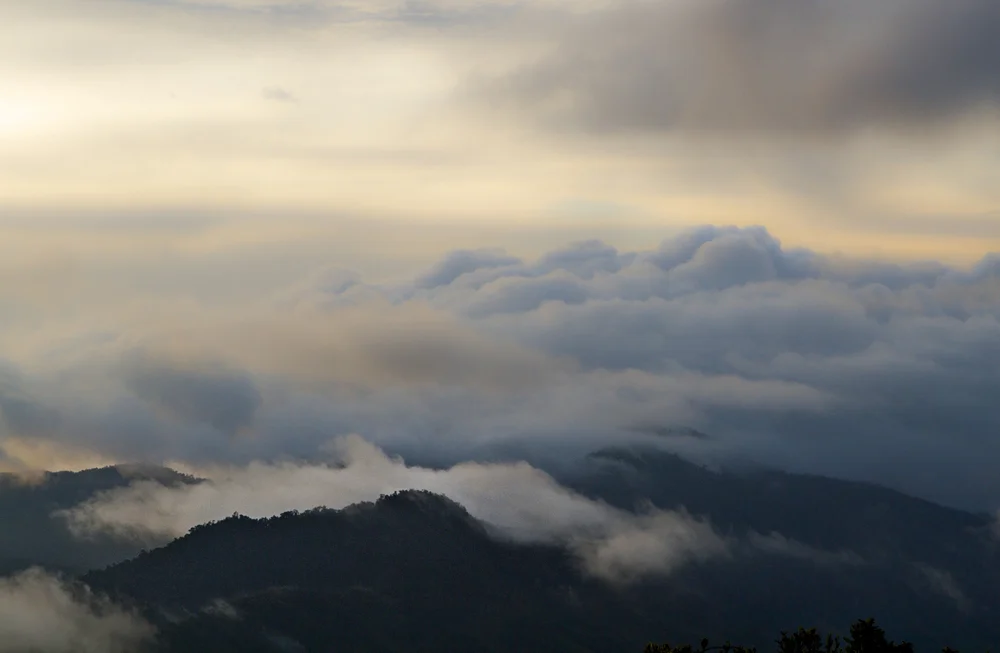 IMG_1061_1cr120a.jpg