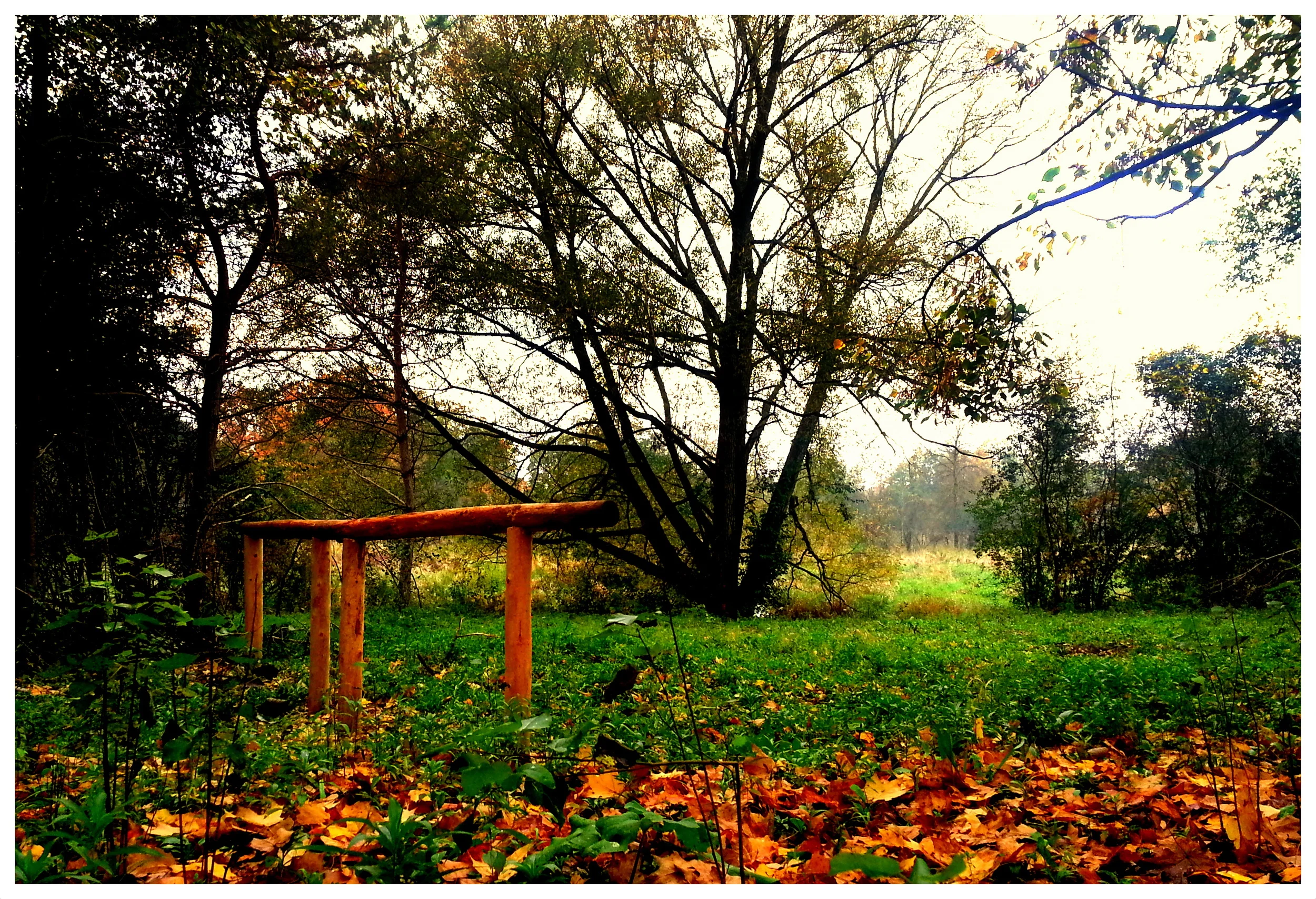 Remote Camp (The Island) Hitching Posts in Fall Colours