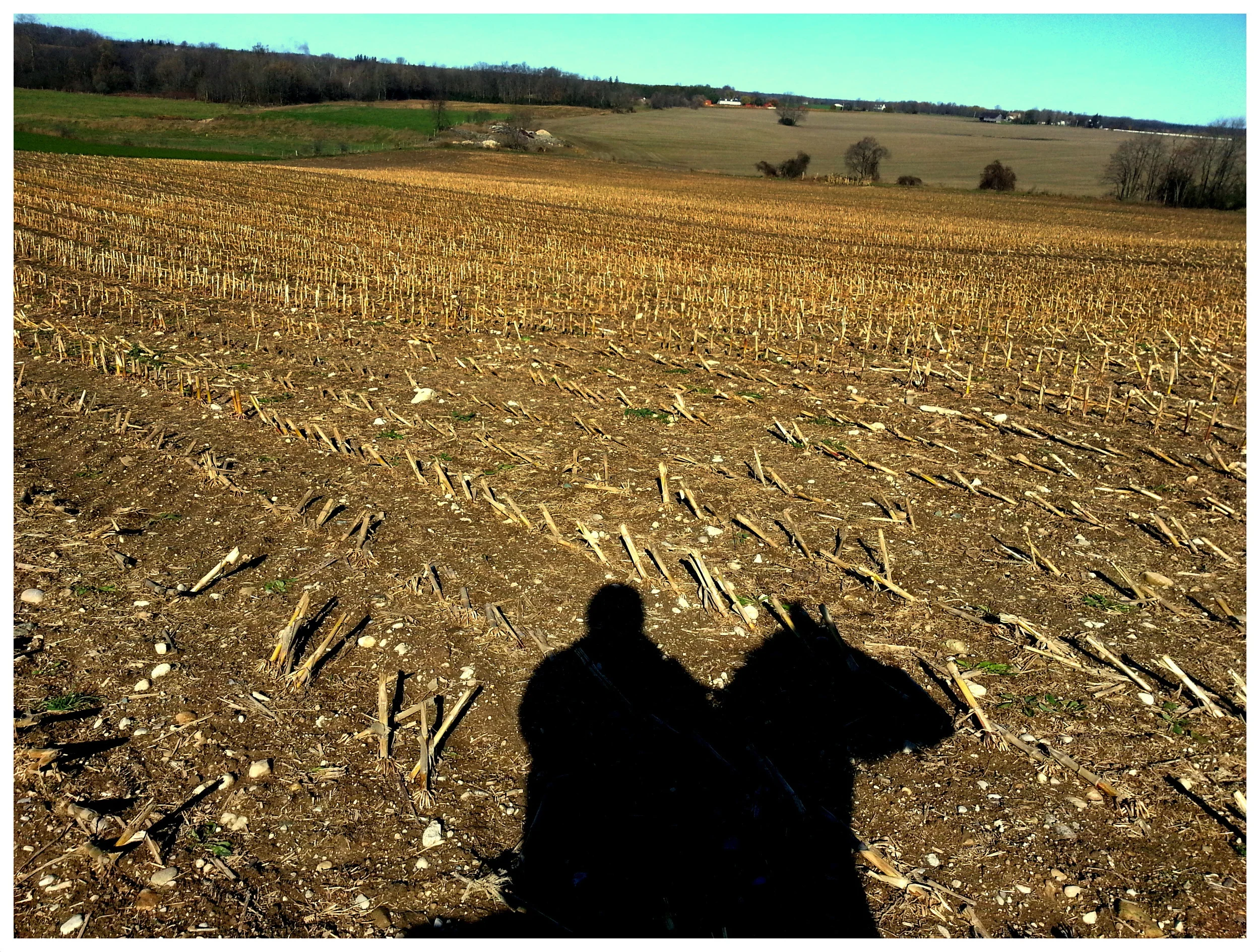 Self Portrait Fall 2013.jpg