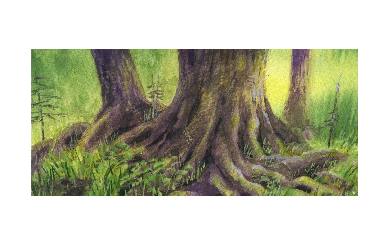 Racines | Roots