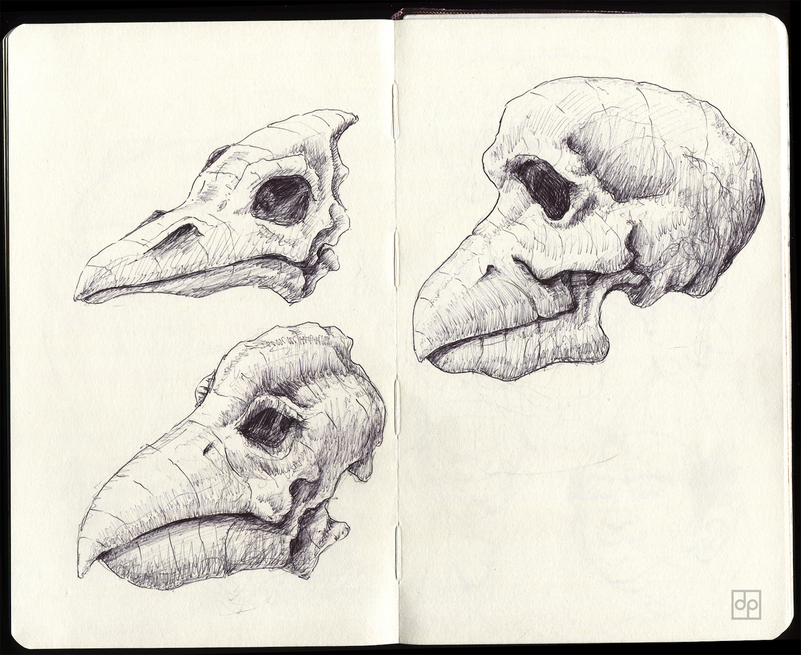 Birdman-Skulls-lorez.jpeg