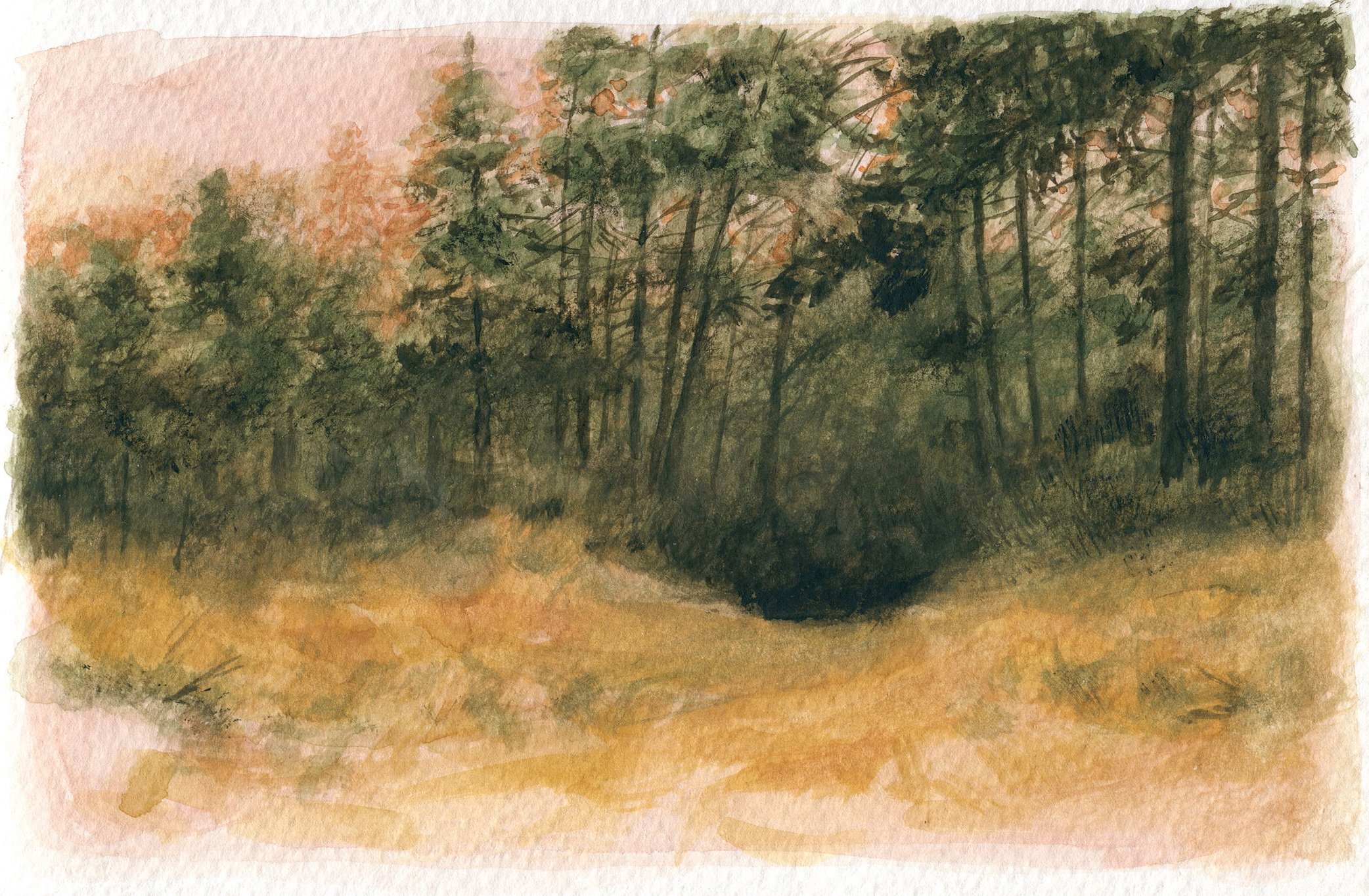 Parc national Kouchibouguac, Nouveau-Brunswick
Aquarelle et gouache sur papier