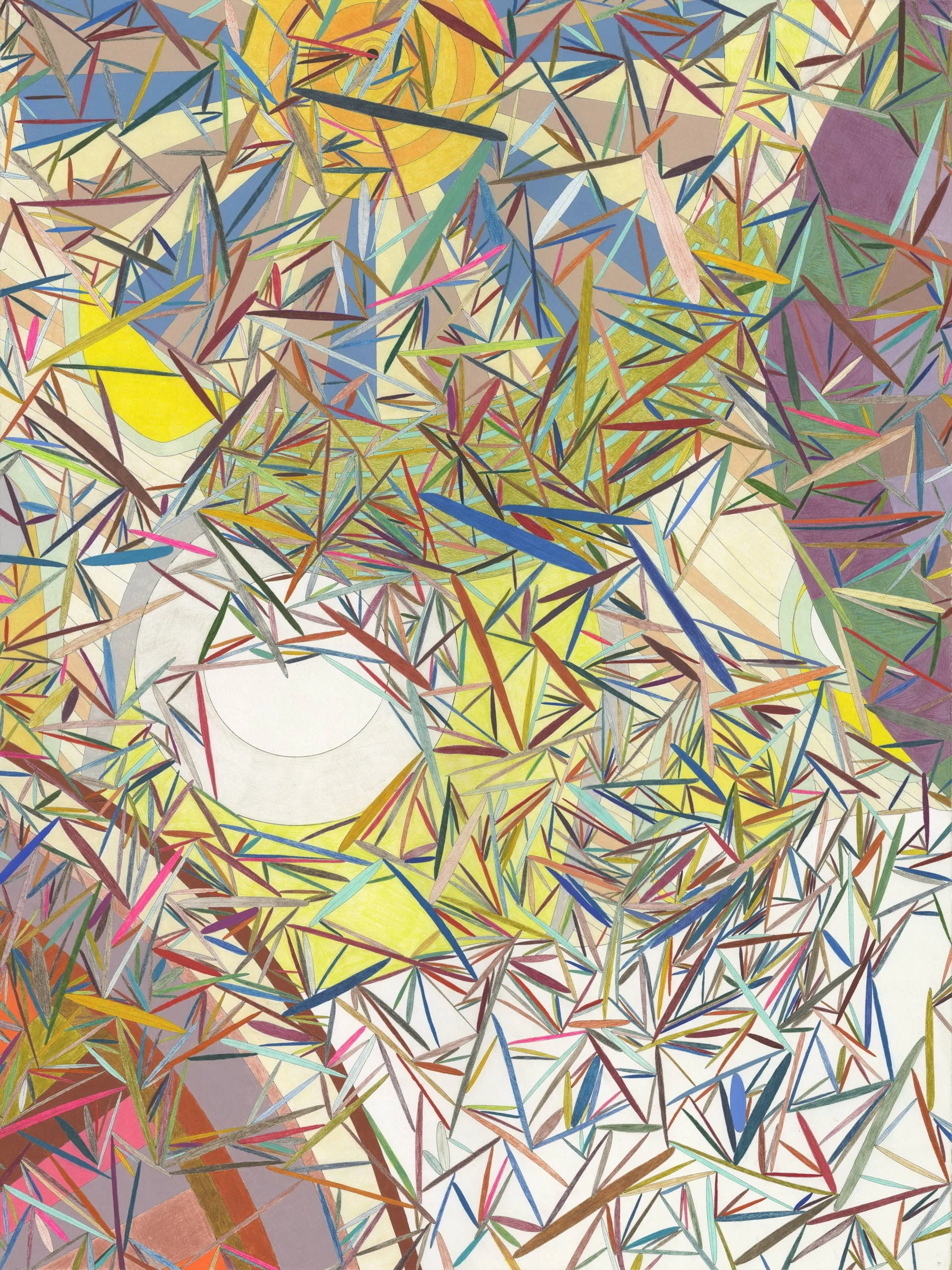 Powers of Ten: X, ink and colored pencil, 30" x 40", 2012 