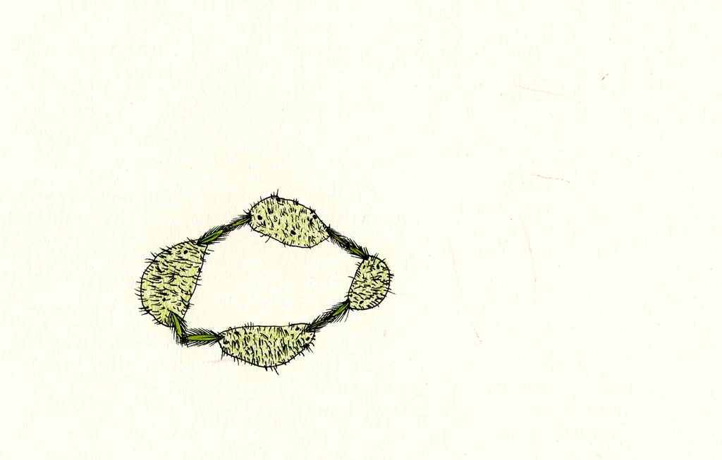 Hand Holding Furry Rocks, 6.5" x 9", 2003