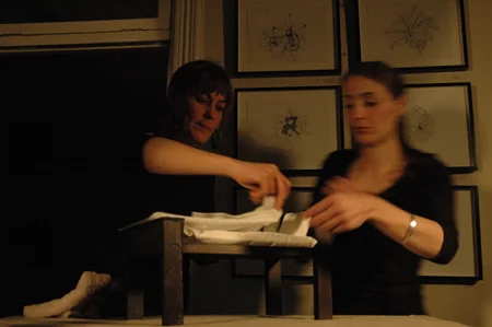 "Black Box Theater as Abandoned Zoo" (performance)