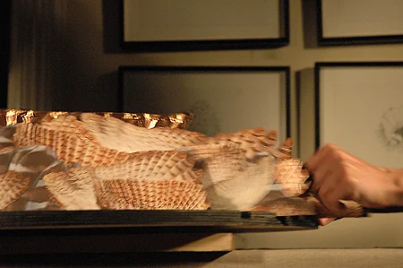 "The Essence of the Owl" (performance)