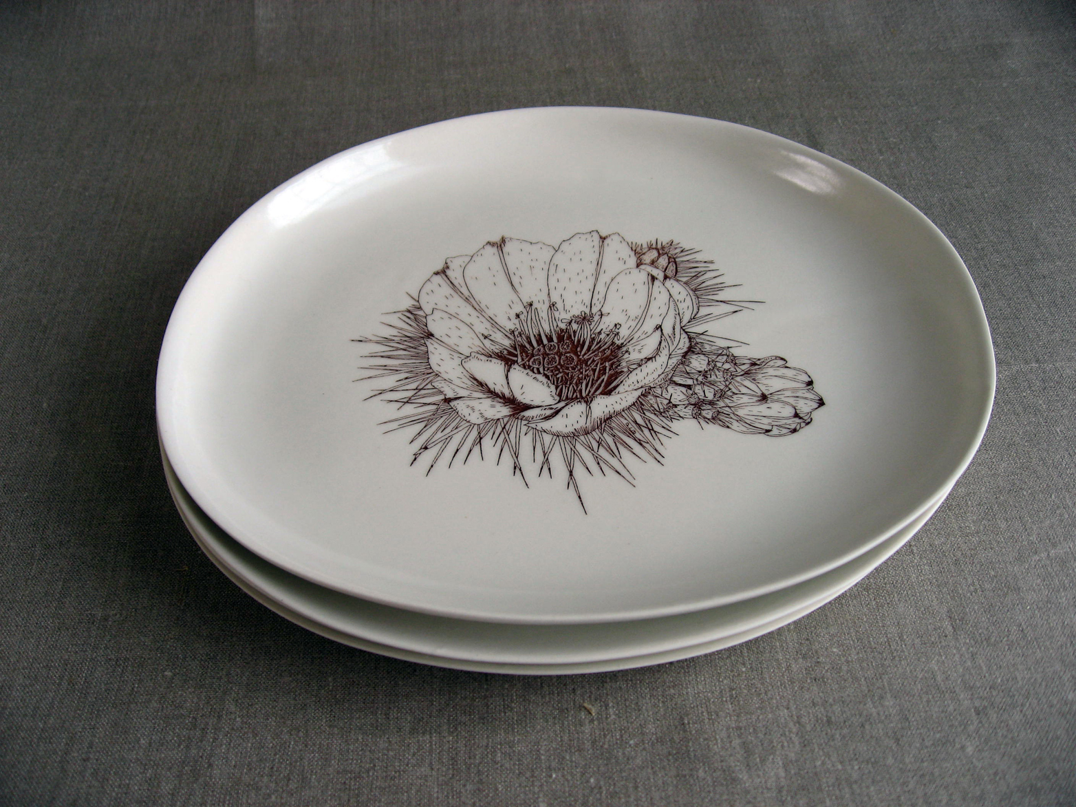 Botanical illustrations by Pattie Lee Becker & Plates by Asya Palatova