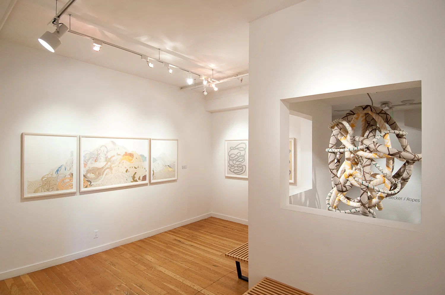 Boulder Museum of Contemporary Art - Installation , 2010