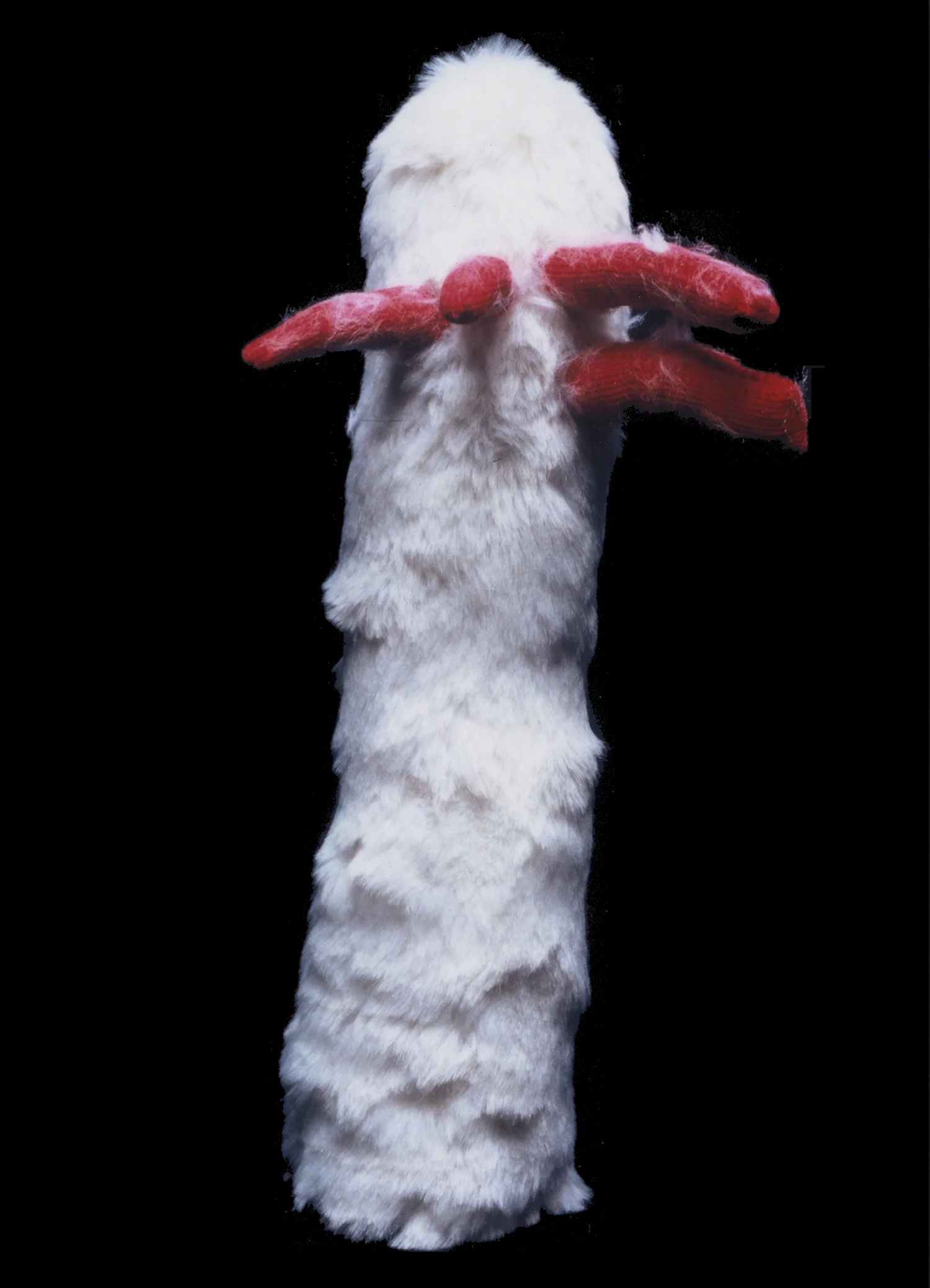 _cleistocactus_3x3x12_2001_SS.jpg