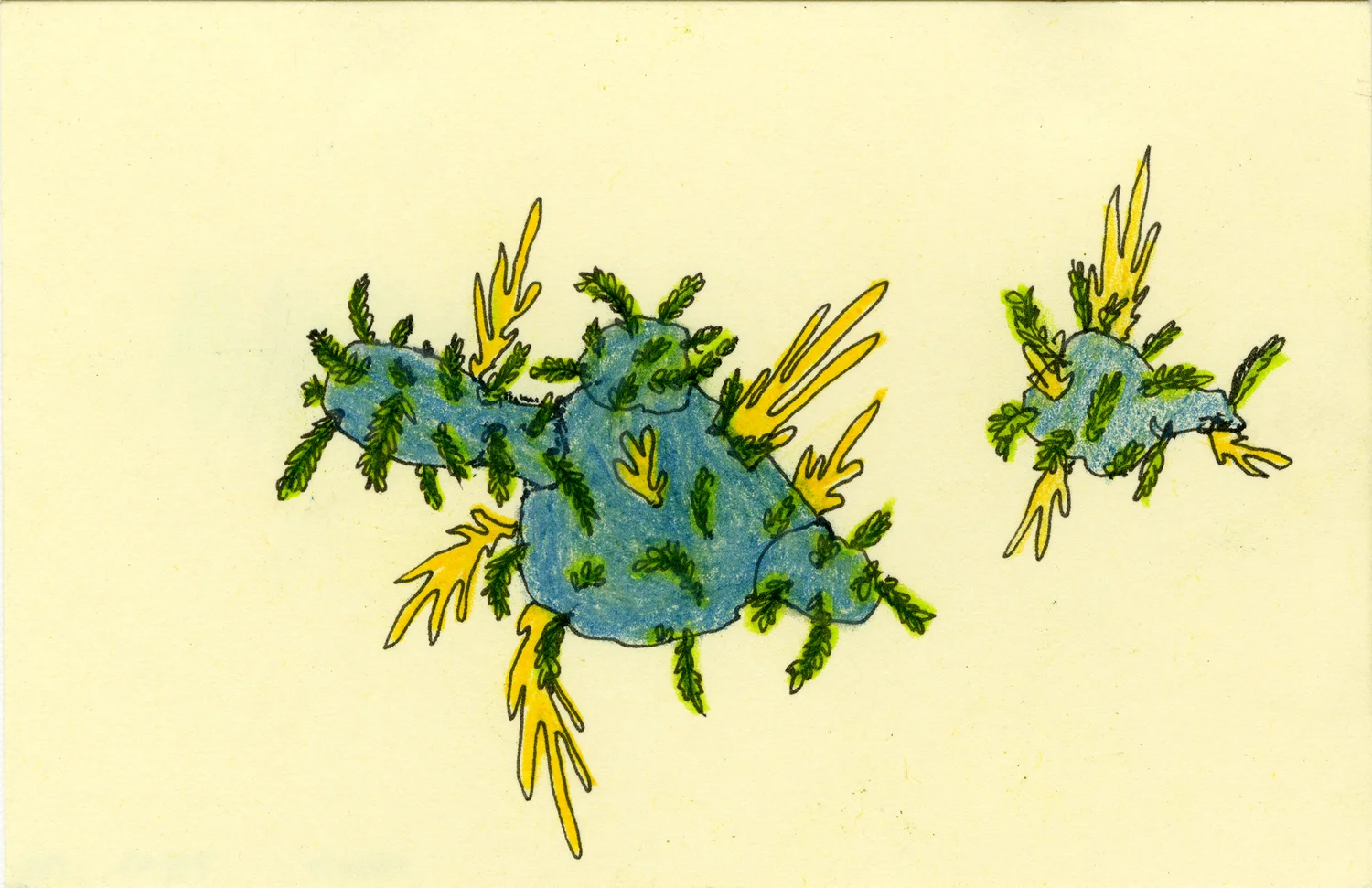 Flying-Coral-Clusters_5x3_SS.jpg