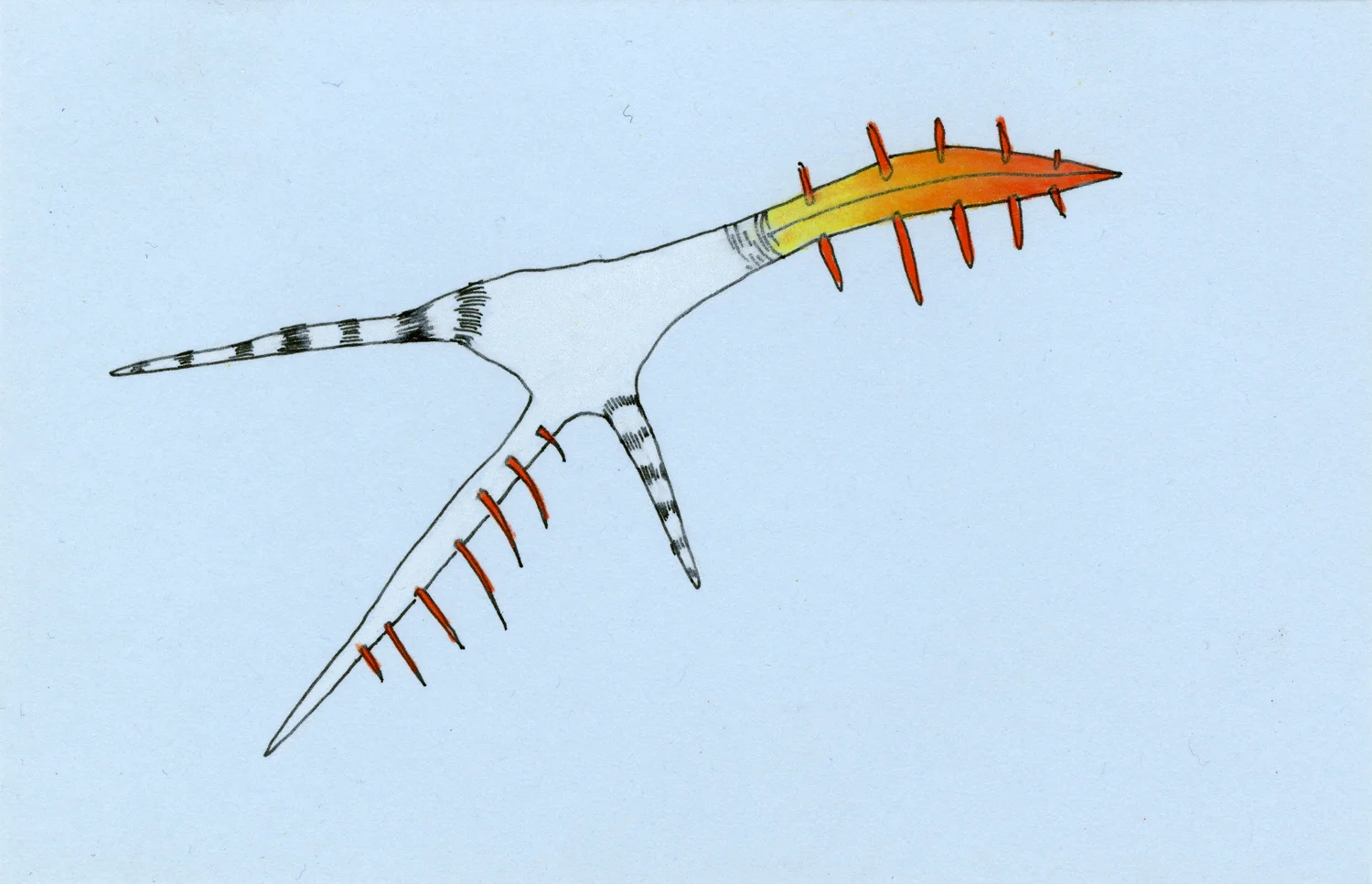 Flying-Horns_5x3_SS.jpg
