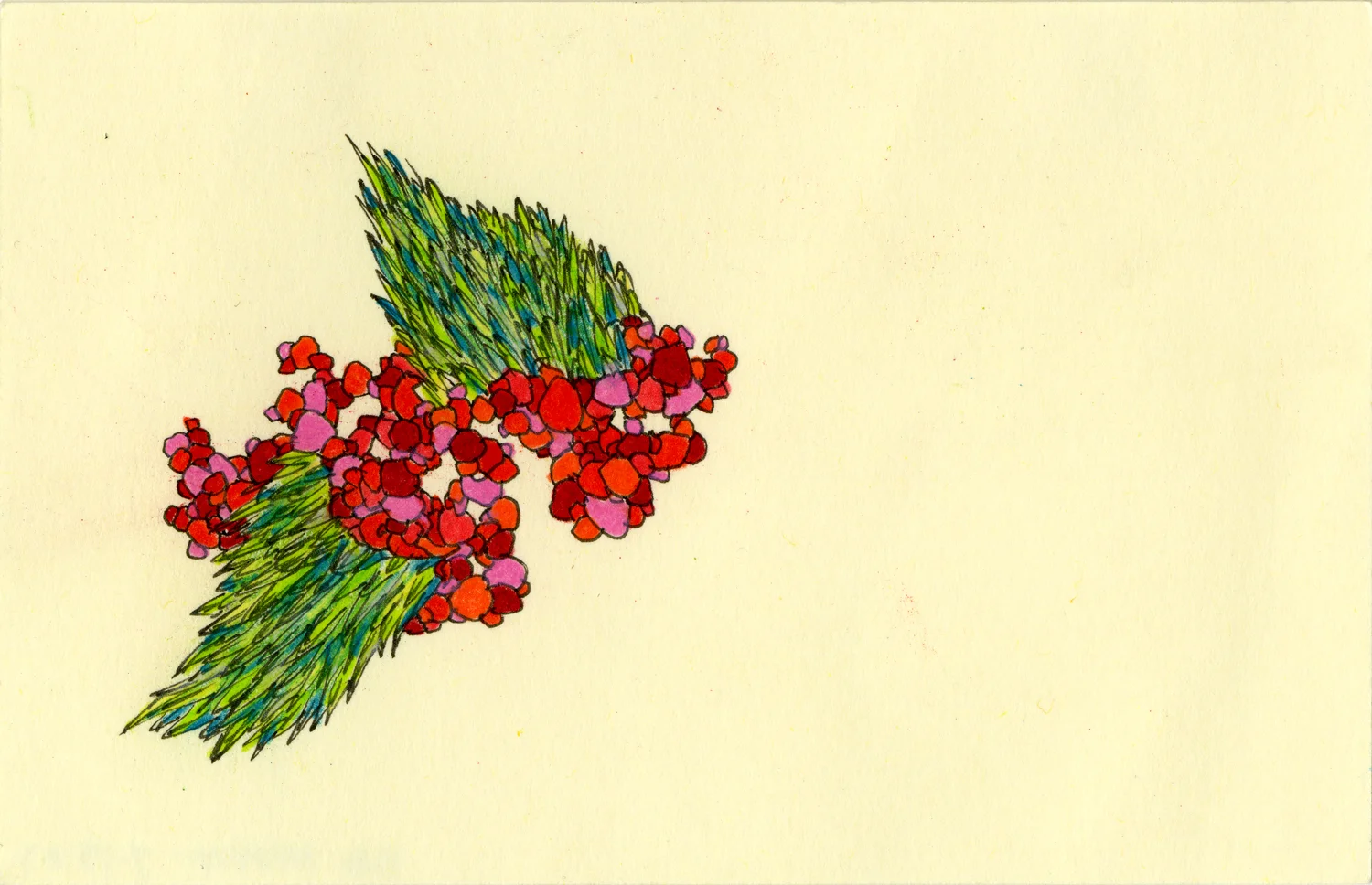 Green-Wing-Red-Cluster_5x3_SS.jpg