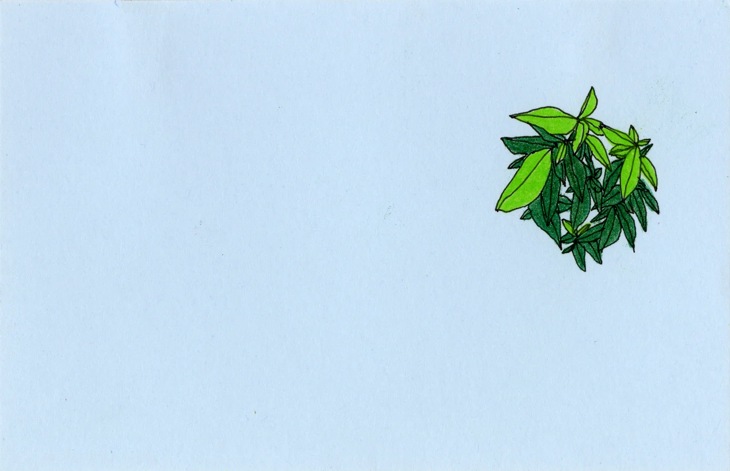 Leaves_5x3_SS.jpg