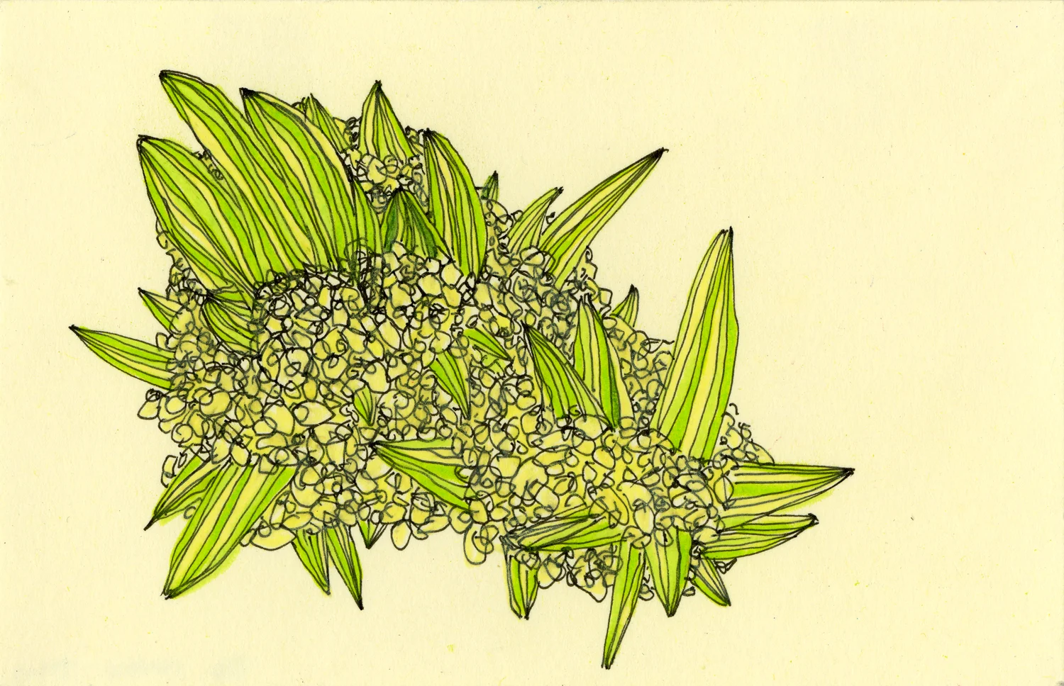Yellow-Green-Mineral-Cluster_5x3_SS.jpg