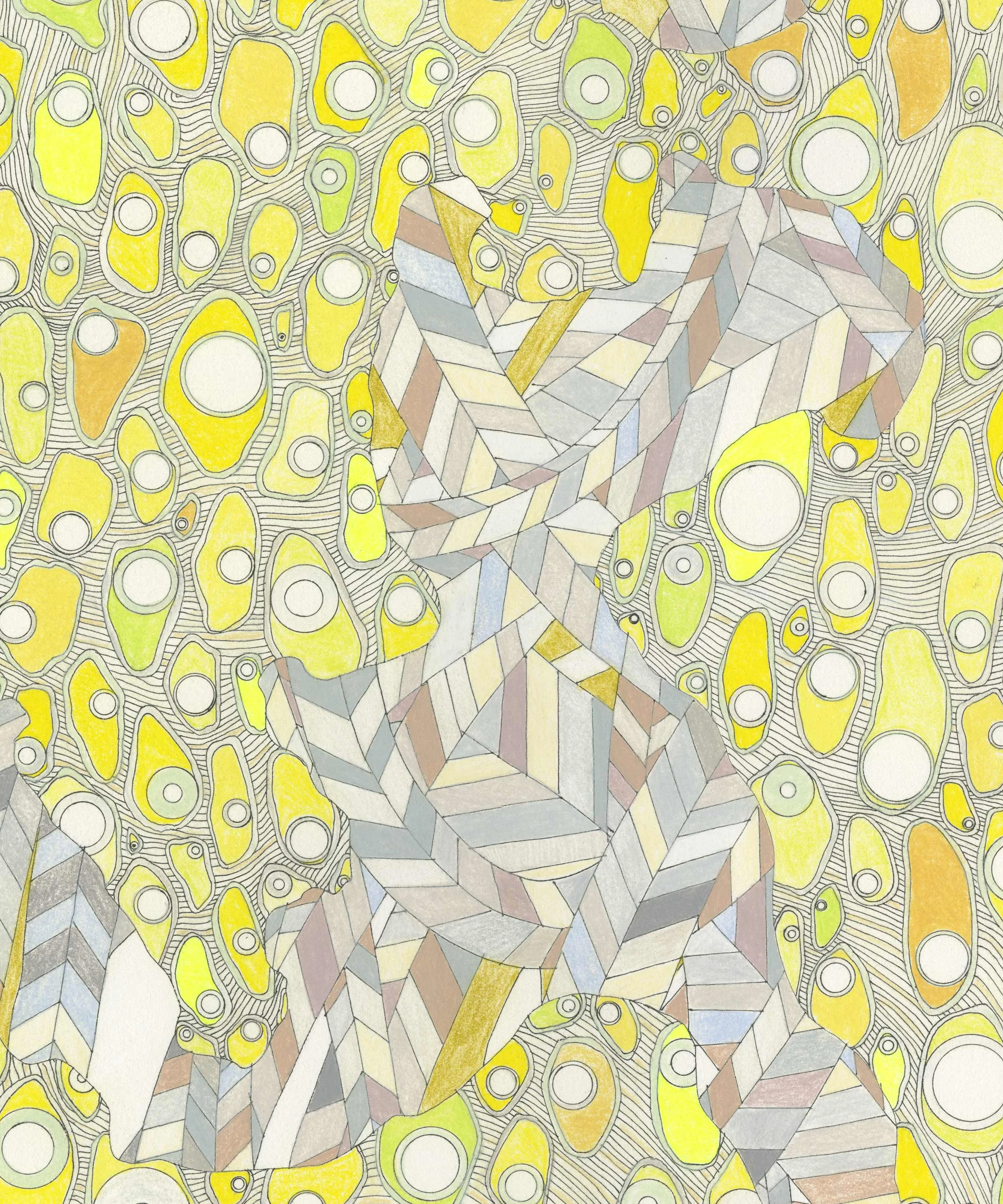 II_Cells_detail_1MB.jpg
