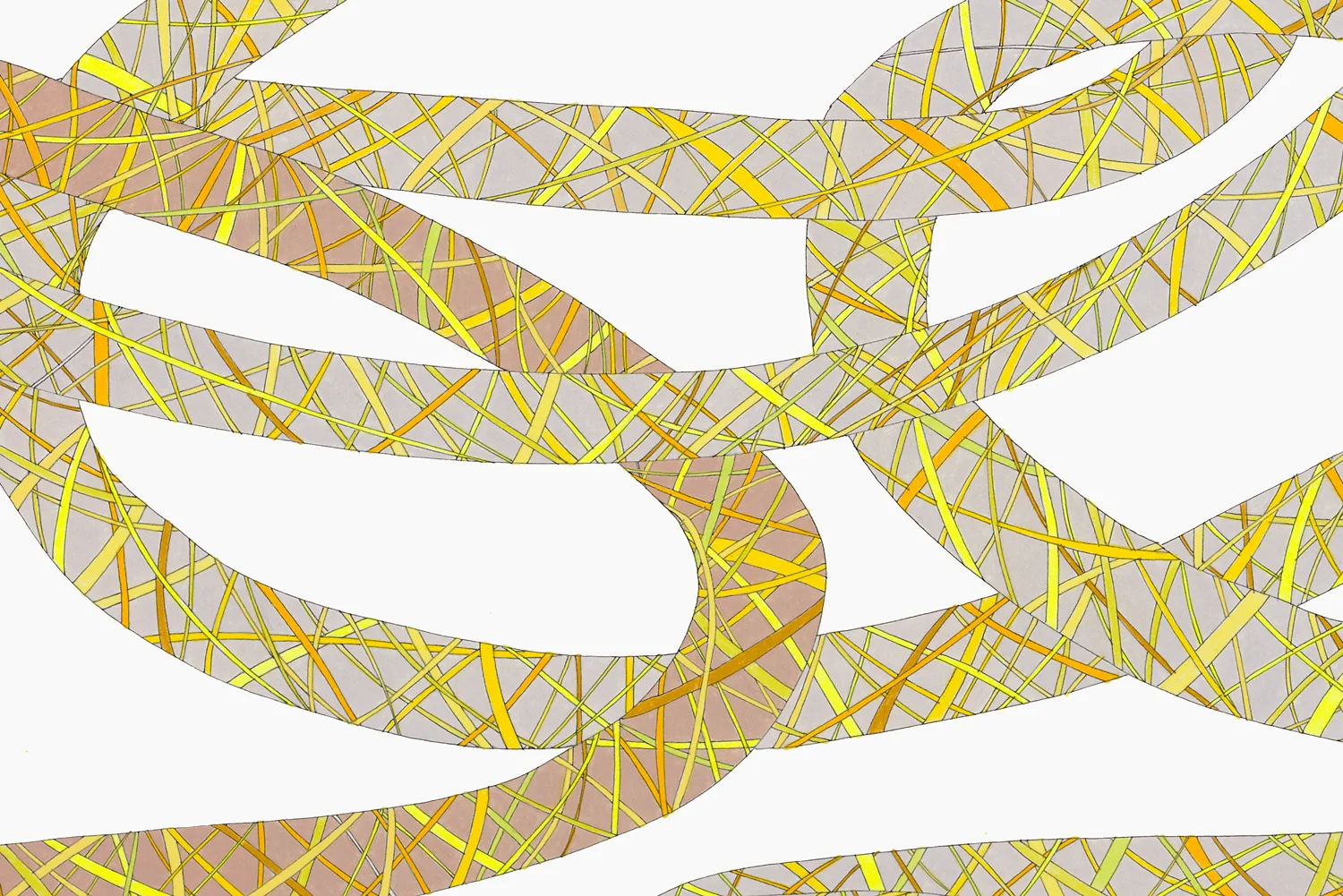 Ropes in Grey, Tan and Yellow (detail), ink and colored pencil, 30" x 44", 2010