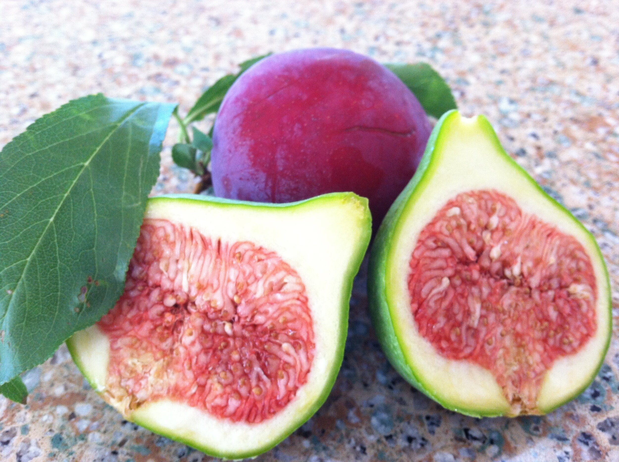 Figs and plum.jpg