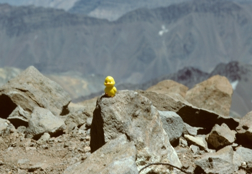 Mountaineering // Aconcagua