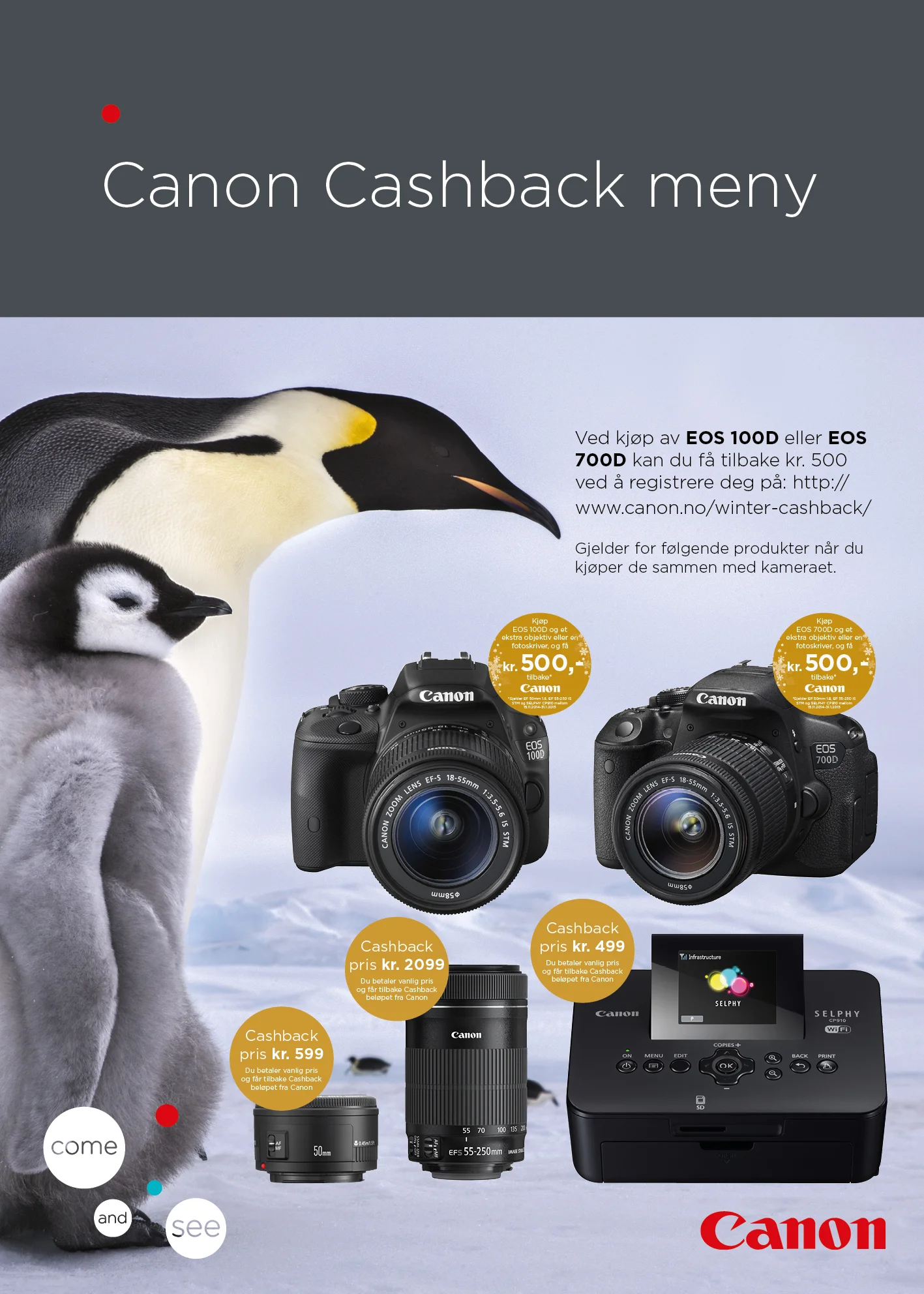 Canon_Cashback plakat.jpg
