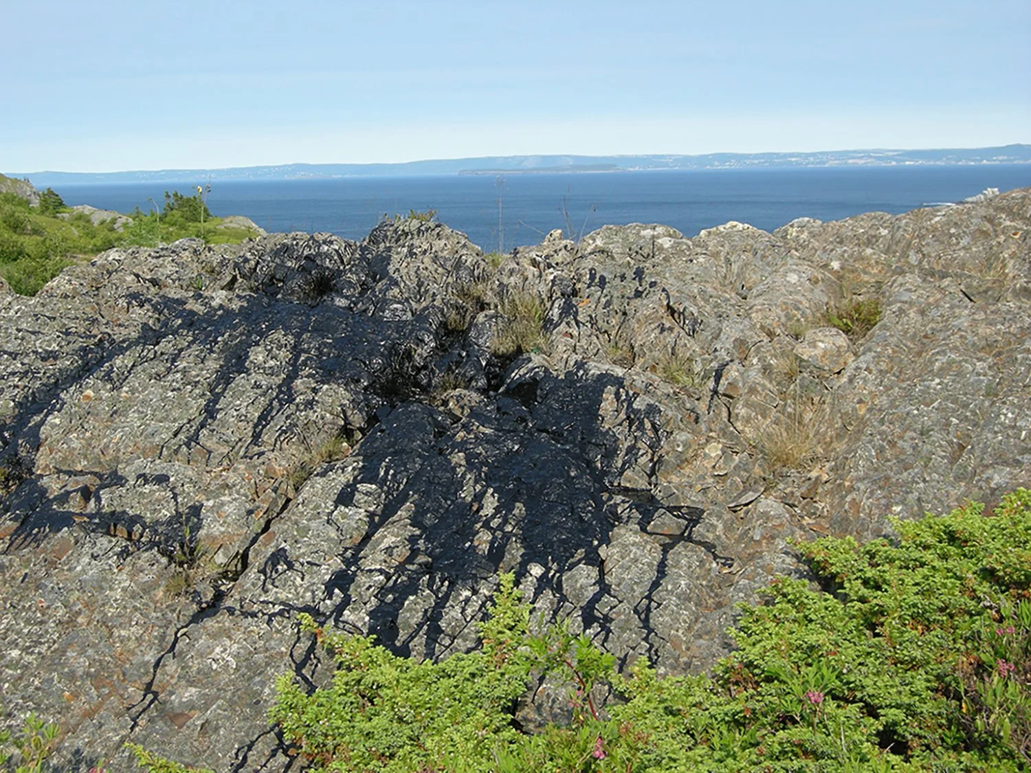    Brigus Mark   | Brigus, Newfoundland (2008) 