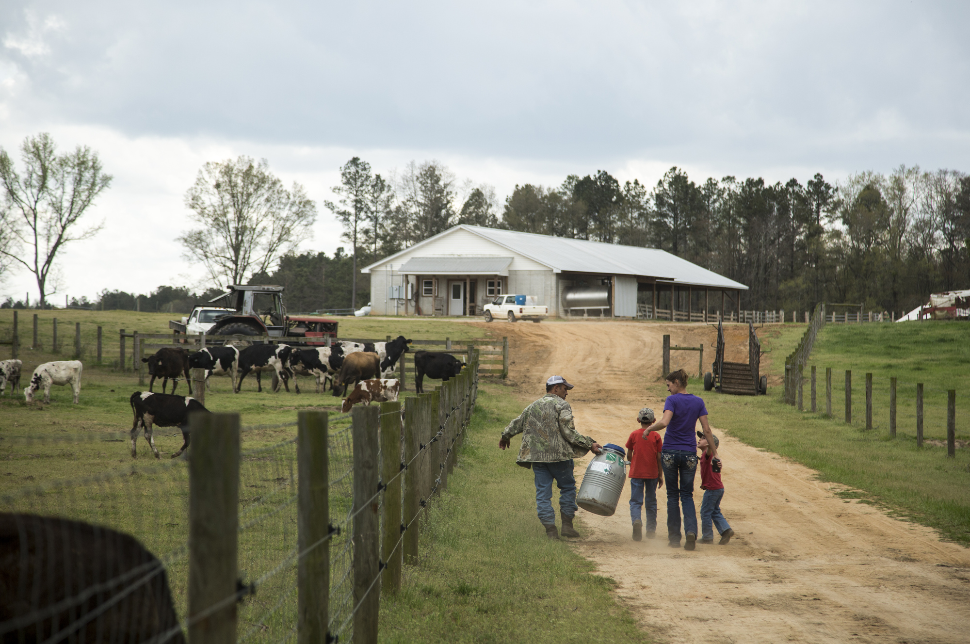  Jeff, Alex, 9, Jana and Dominic Busciglio, 5, walk up the hill towards the new dairy barn, after all the cows had been moved from Tampa to the property in Gay, Georgia, on March 27, 2017. It took four 18-wheelers to move the 160 cow herd. After arri