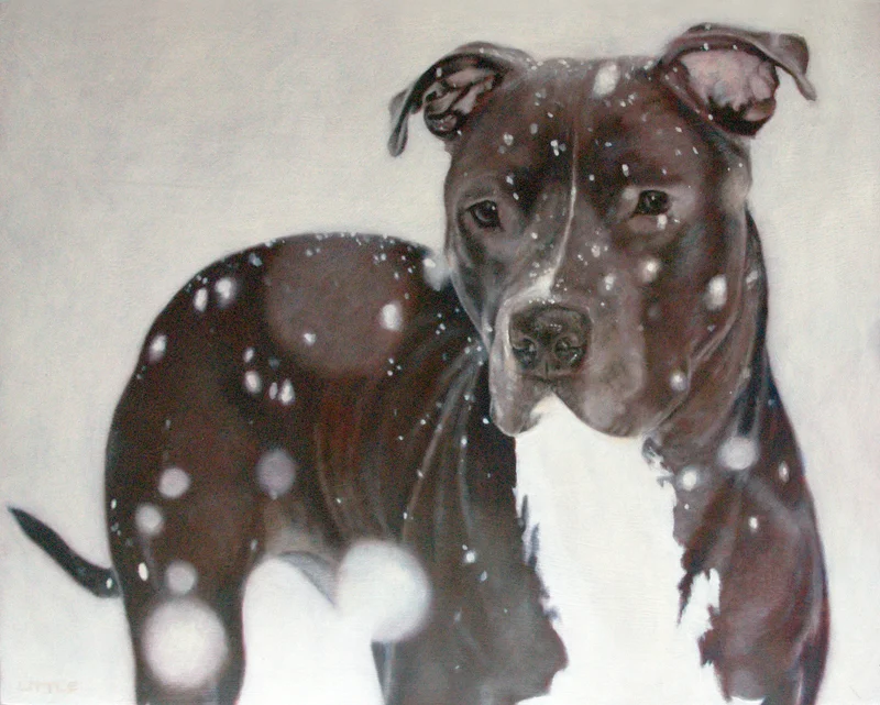 Ronan In Snowfall