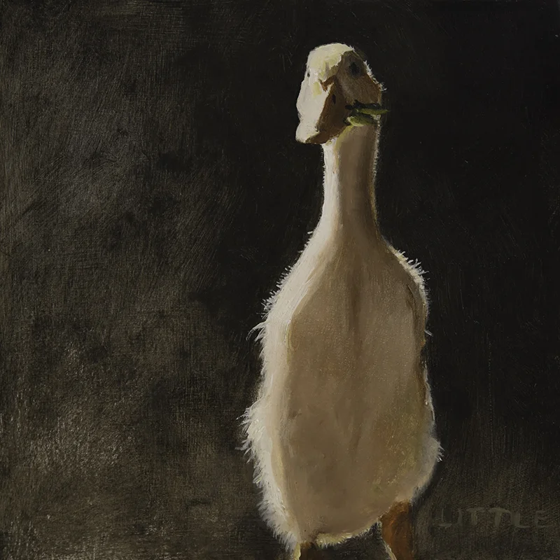 Il Ducko