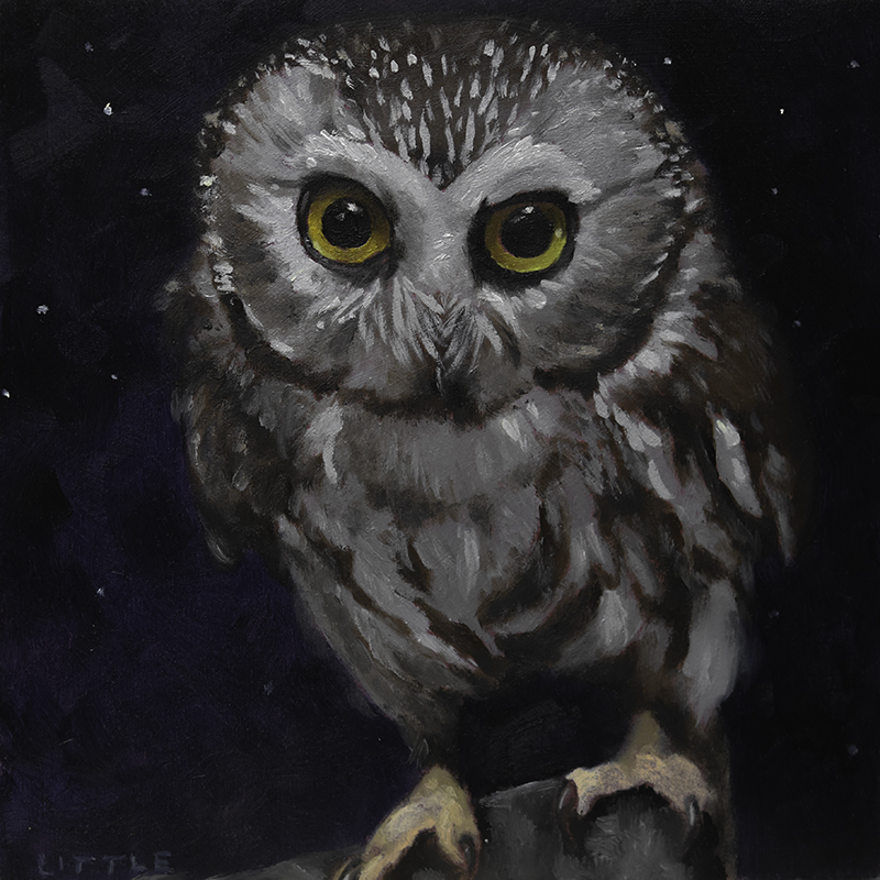Owlie Hoot-Hoot