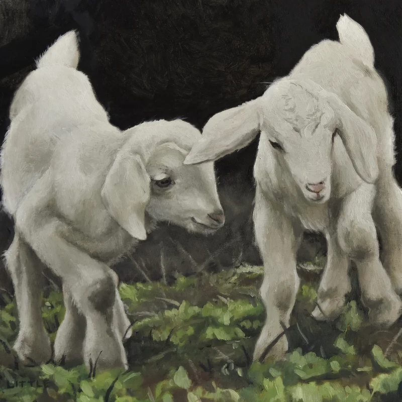 Kid Brothers Learning To Goat