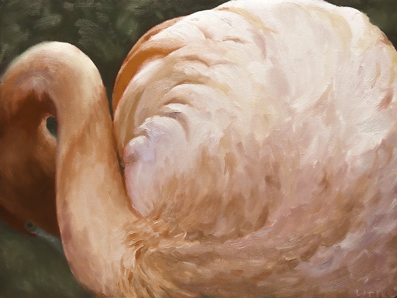 Eternal Flamingo