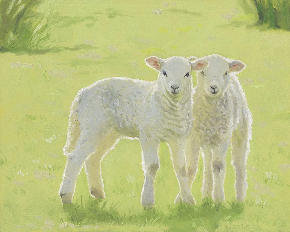 Spring Sprung Sproingers.jpg