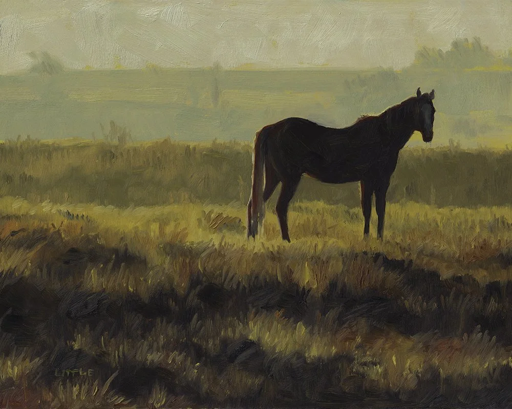 Fields of Gold.jpg