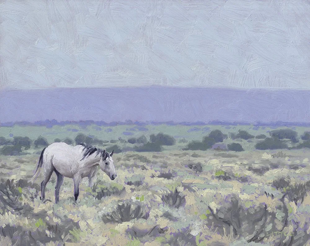 She Could Meander ForHours in This Place and Then Meander Some More.jpg