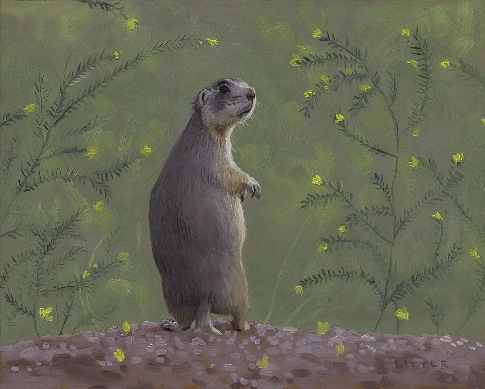 She Thought of Alan Often.jpg