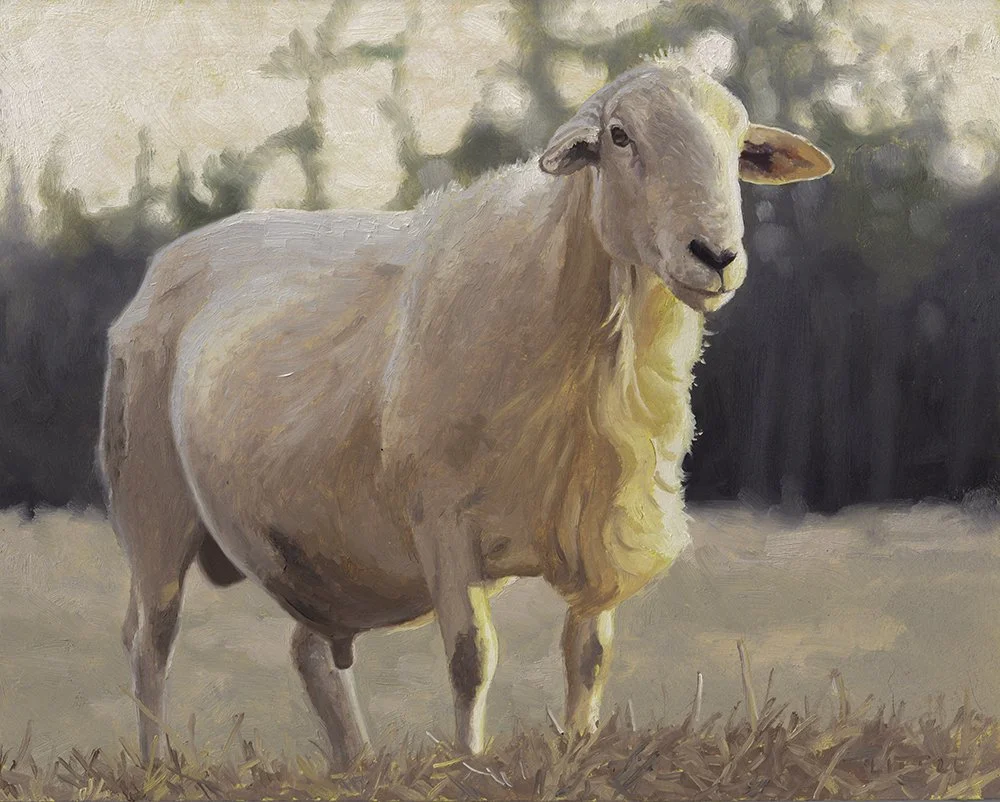 Oh How the Ewes Loved Fabio.jpg