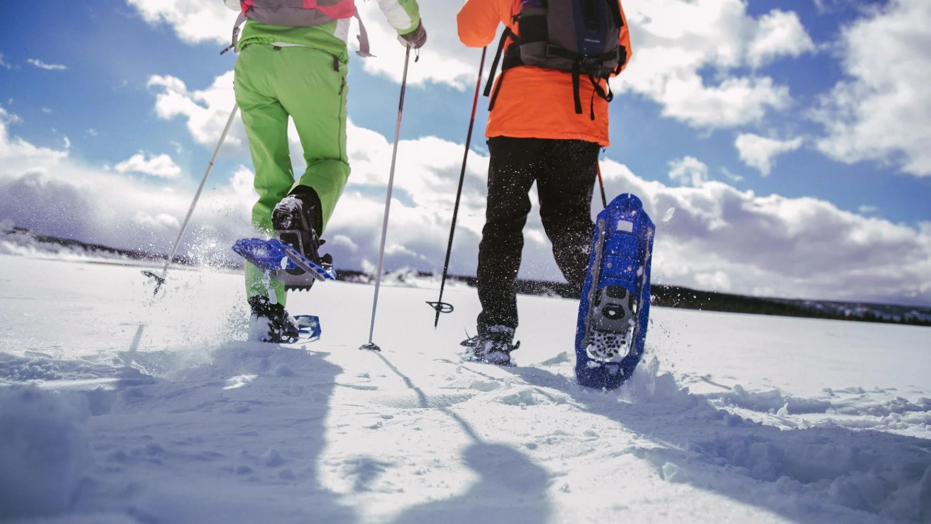 snowshoe.jpg