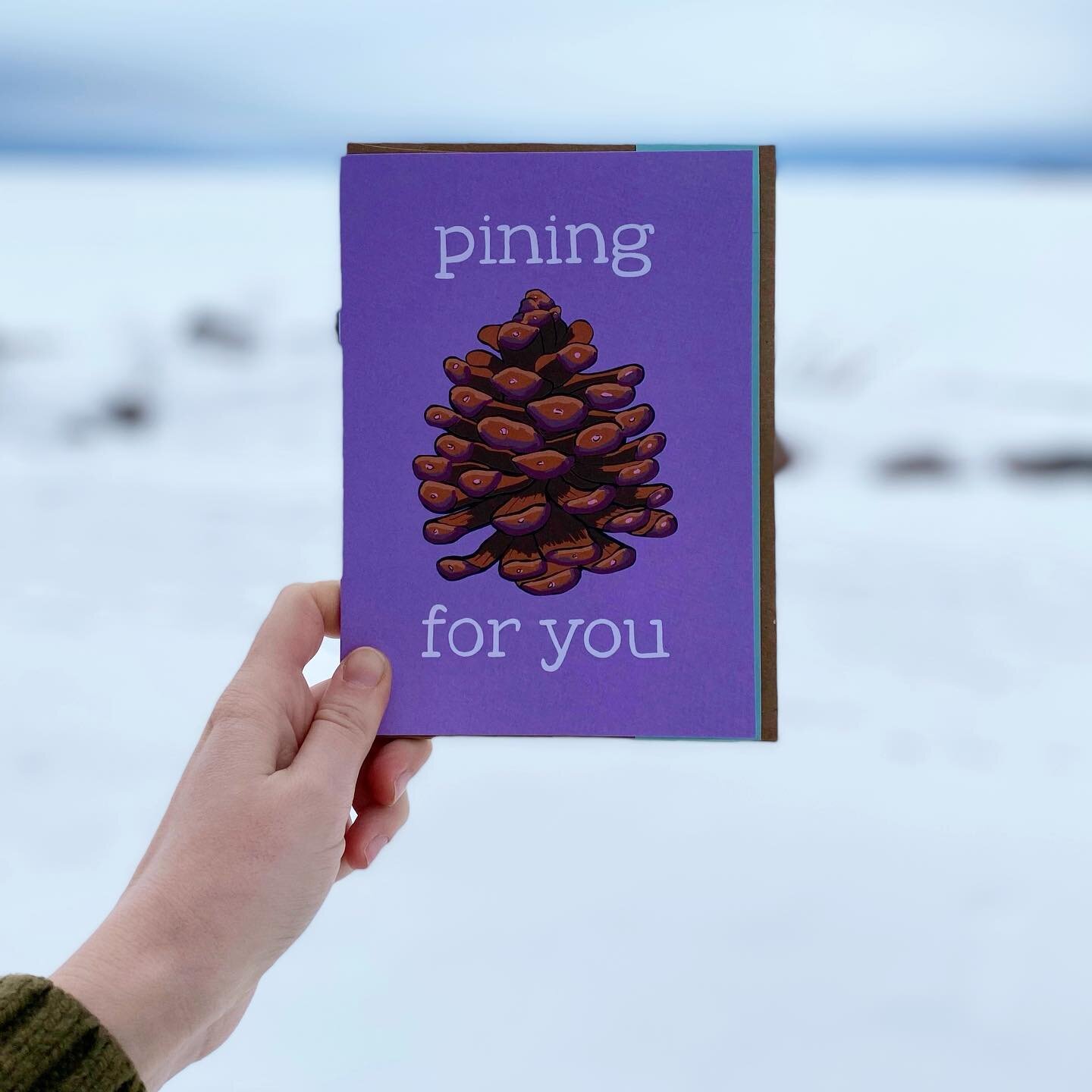 Thinking of sending someone a love note? Check out some of the awesome cards from @compasspaperco&mdash;hand designed by Annie in Northern Michigan, printed using vegetable based ink, and sure to please any outdoor lover in your life! #spicy #card #v