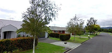 Silver birch trees on Stephens Place and Freyberg Street will be felled.