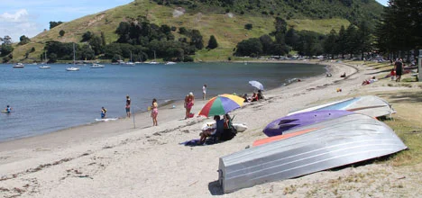 Tauranga City Council staff will explore future options for the dinghies scattered along Pilot Bay.