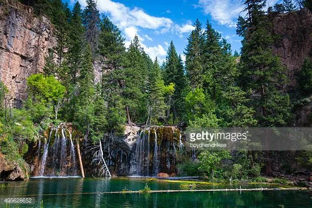Photo by boydhendrikse/iStock / Getty Images
