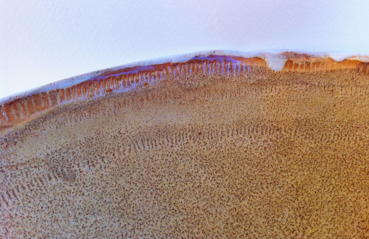 bowl008.jpg