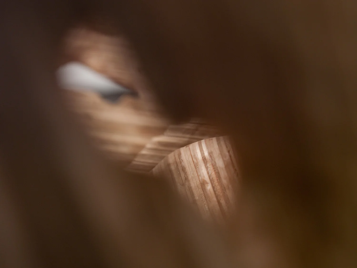 "Hinge" (detail)